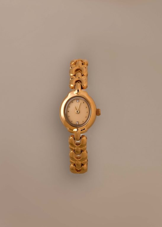 Petite Oval Link Timepiece